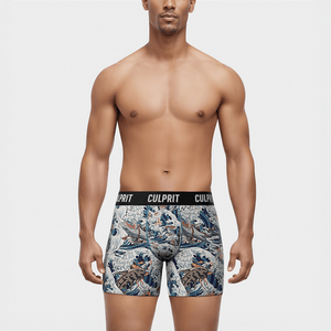 Shark Bait 🦈 Boxer Briefs w/ fly